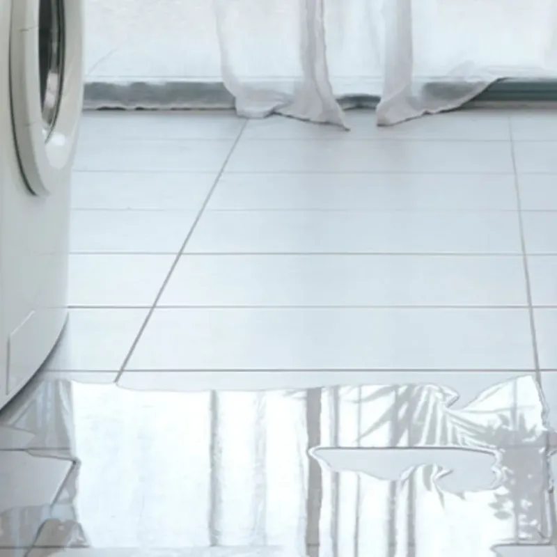 Appliance Leak Cleanup in Homestead, PA