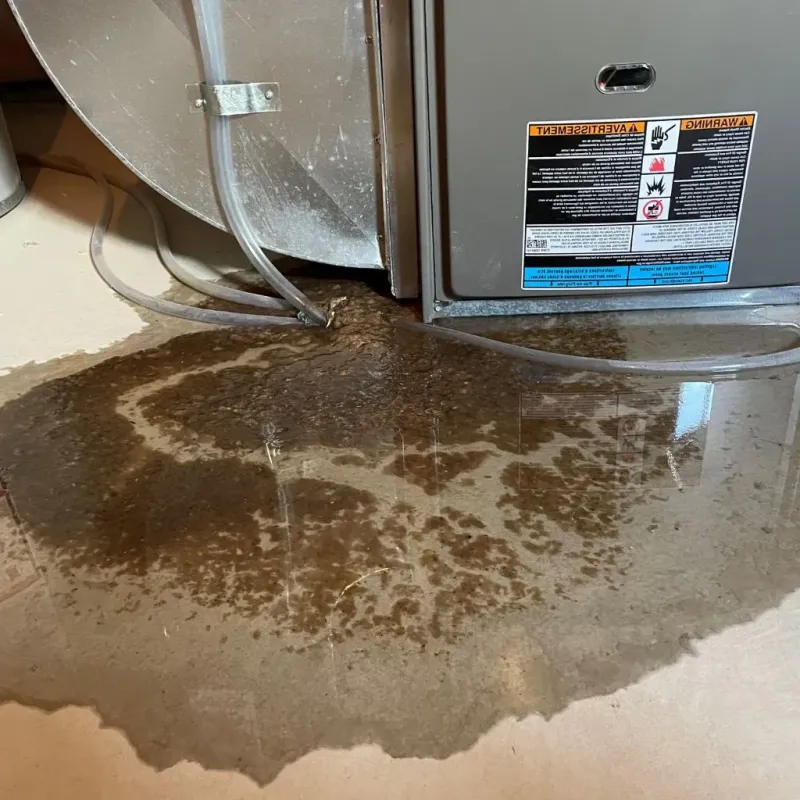 Pipe Burst and Leak Restoration in Homestead, PA