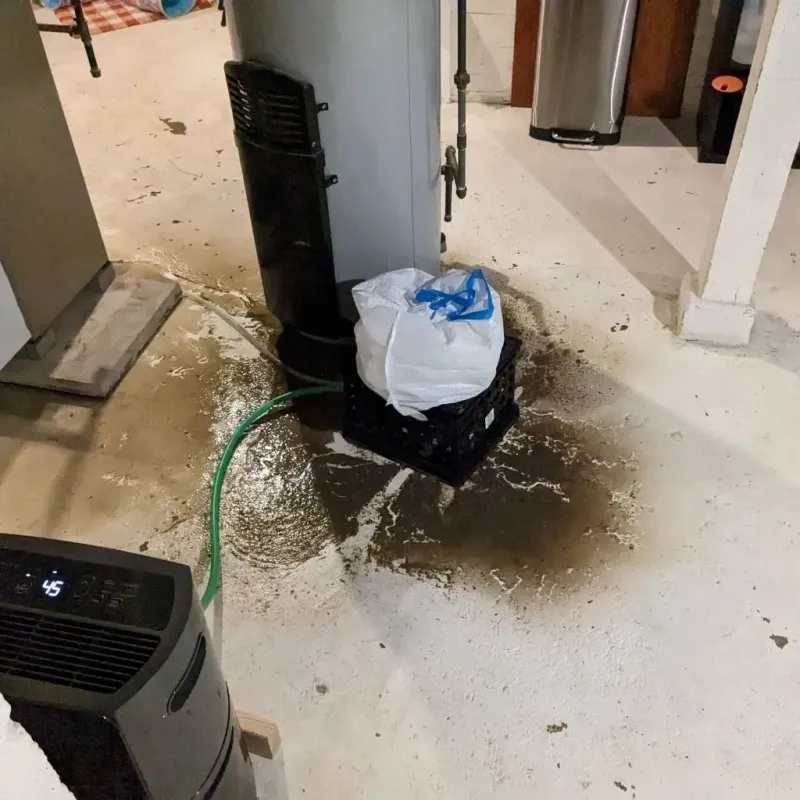 Sewage Backup Cleanup Service in Homestead, PA